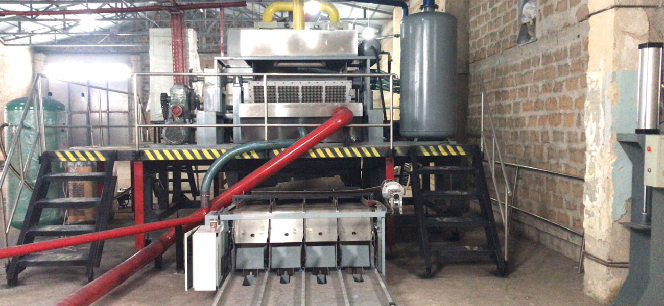 Instalación de Máquina Moldeadora de Pasta de Papel en Armenia