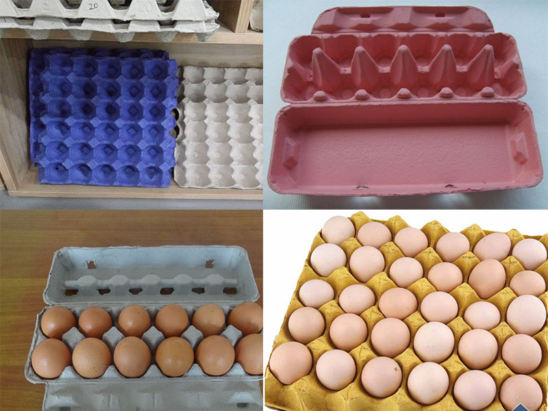 Egg Tray Plant Project Report Ideas BESTON MAQUINA