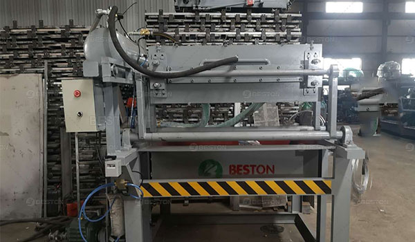 Máquina para Hacer Bandejas de Huevos BTF1-3 -  Beston Group