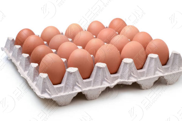 20 Huevos por Bandeja
