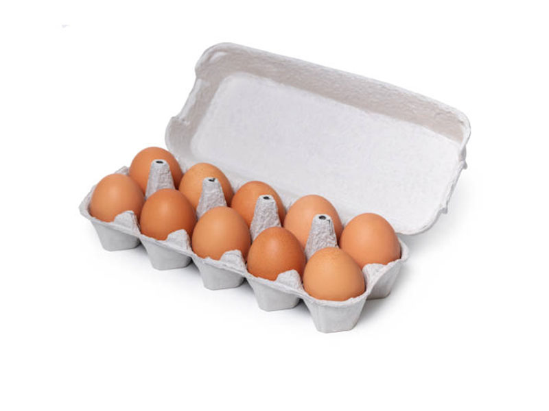 10 bandejas de huevos