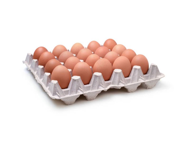 20 bandejas de huevos