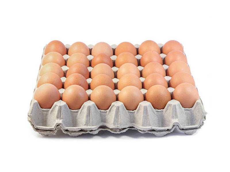 30 bandejas de huevos