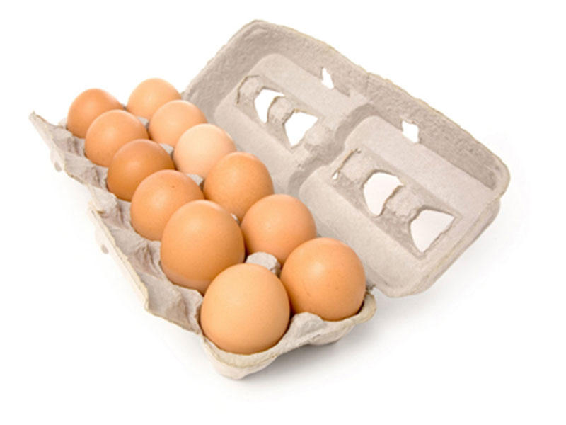12 Cubetas de Huevos