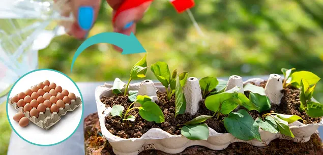 Apoyo al Uso de Recursos en Circuito Cerrado