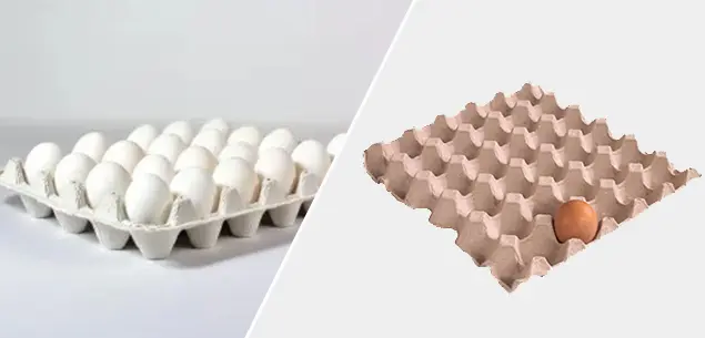 Bandejas de 24 y 30 Huevos