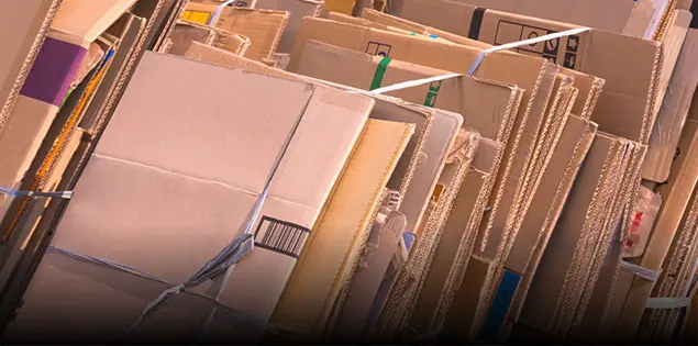 Cartón de Desecho Para la Producción de Bandejas de Huevos