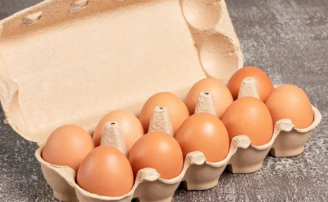 Cartón de Huevos Para 10 Huevos