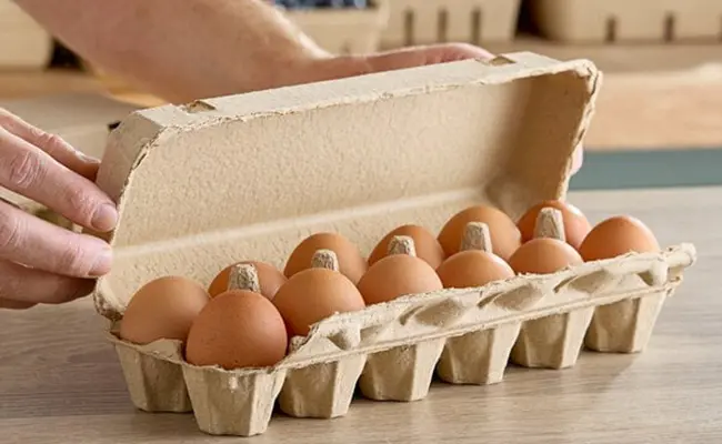Cartón de Huevos Para 12 Huevos