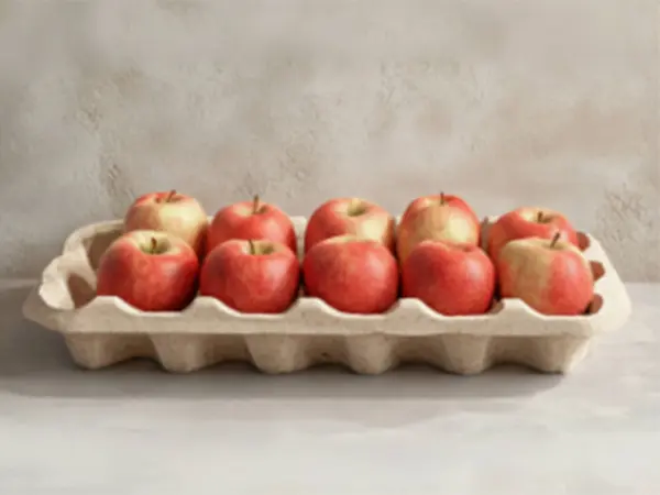 Bandeja de Papel para Manzanas