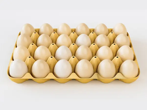 Cartón de Huevos de 24 Agujeros
