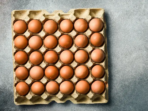 Cartón de Huevos de 30 Agujeros