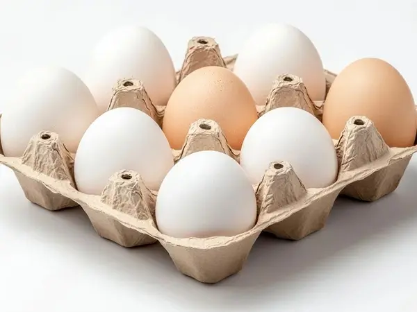 Cartón de Huevos de 9 Agujeros