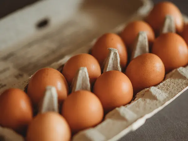 Cartón de Huevos de Papel