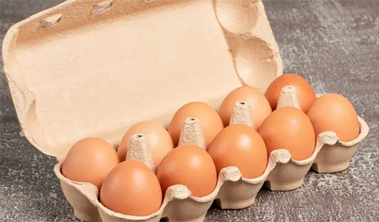 Cartón de Huevos de Papel