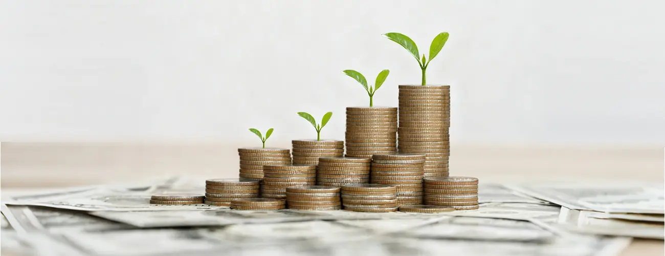 Ingresos Proyecto Pirólisis