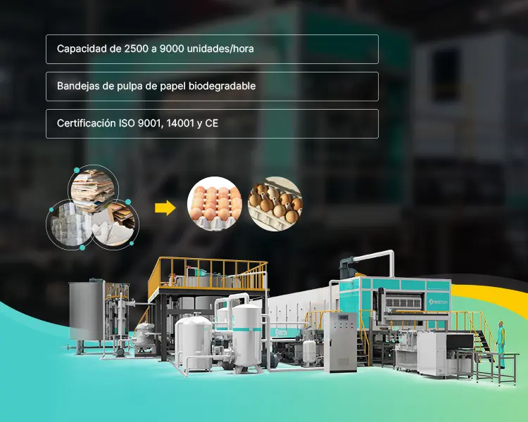 Máquina Moldeadora de Pasta de Papel Banner AMP