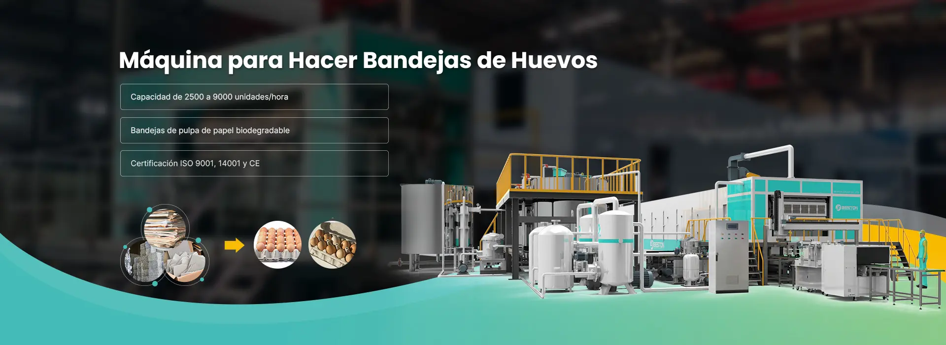 Máquina para Hacer Bandejas de Huevos Banner