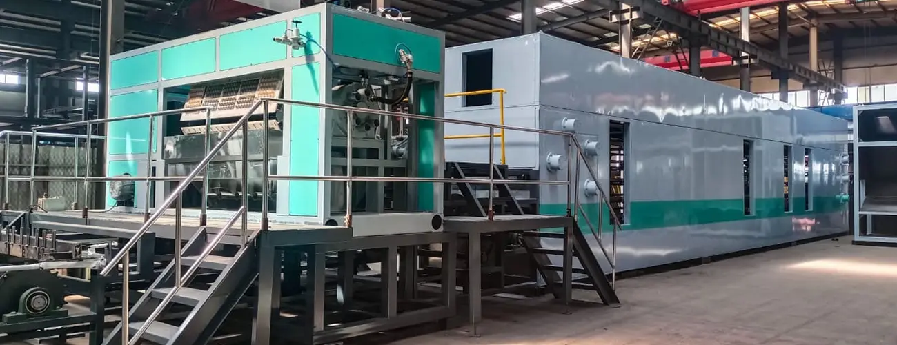 Proyecto de Bandejas para Huevos para América Latina