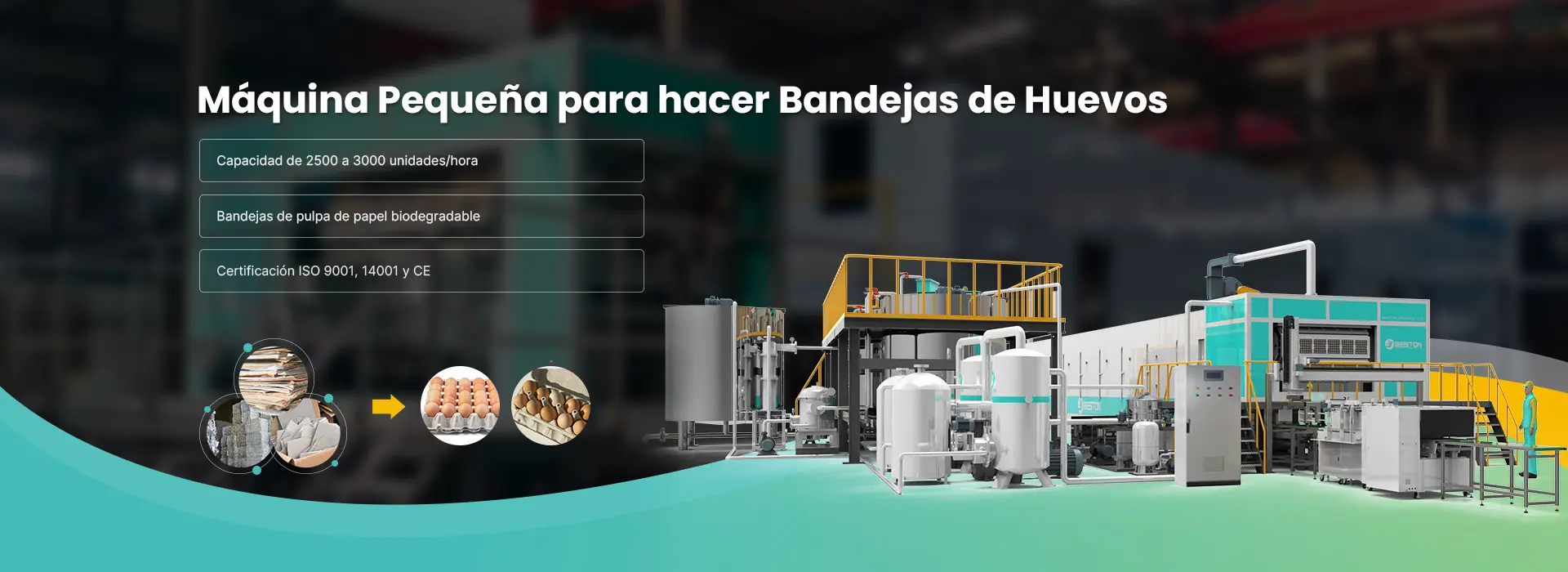 Venta de Máquina Pequeña para hacer Bandejas de Huevos Banner
