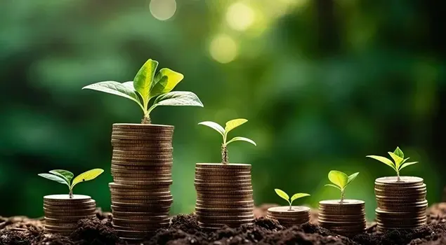 Aplicaciones en Agricultura y Mejora del Suelo