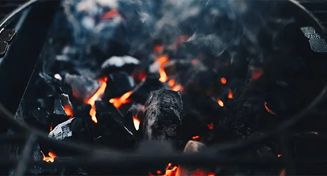 Carbón Vegetal como Combustible para Barbacoas