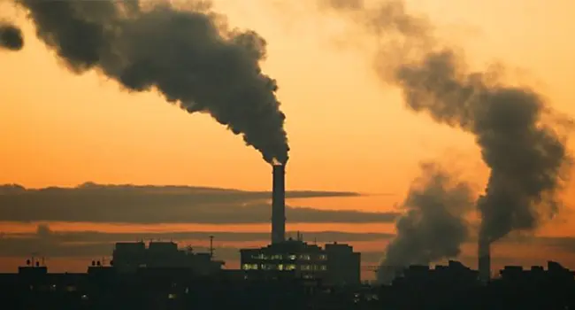 Carbón Vegetal como Combustible