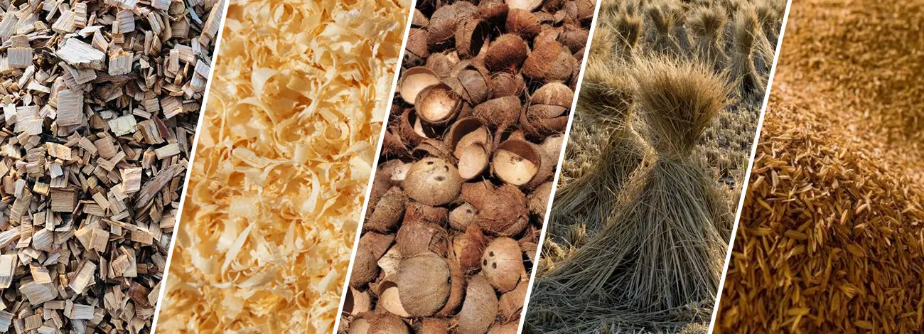 Diversos Tipos de Biomasa para Carbonización