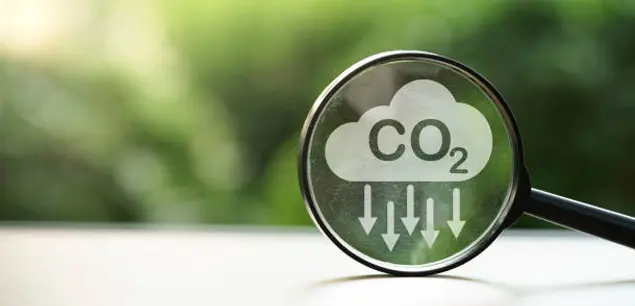 Remoción de Carbono con Biochar