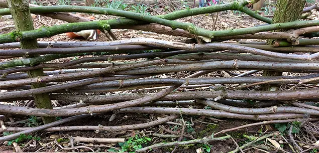 Residuos Verdes de Jardín y Urbanos