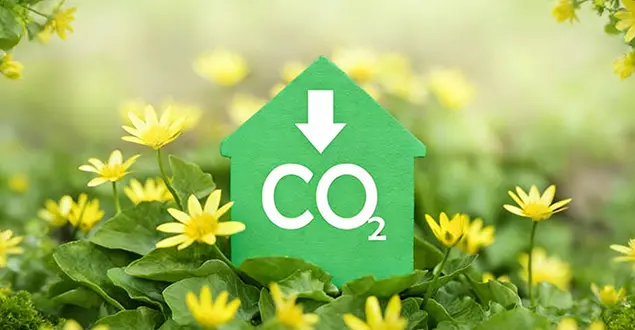 Sostenibilidad Ambiental