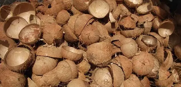 Subproductos de Procesamiento de Alimentos