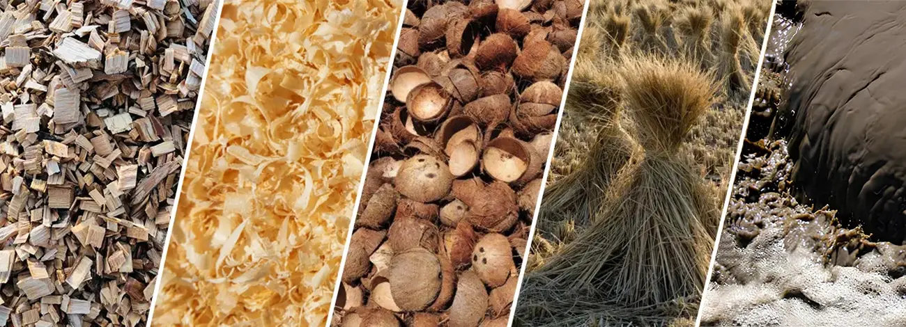 Diversos Tipos a para Carbonizacion